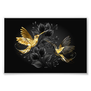 Black and Gold Hummingbird Photo Print