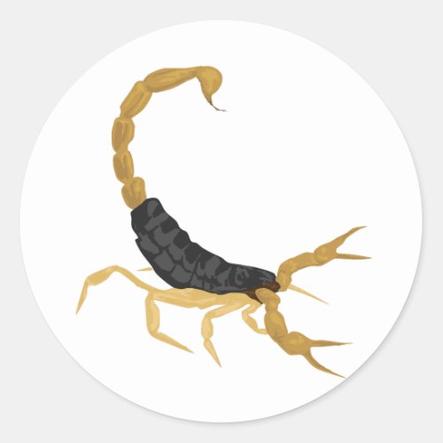 Black and Gold Scorpion Classic Round Sticker