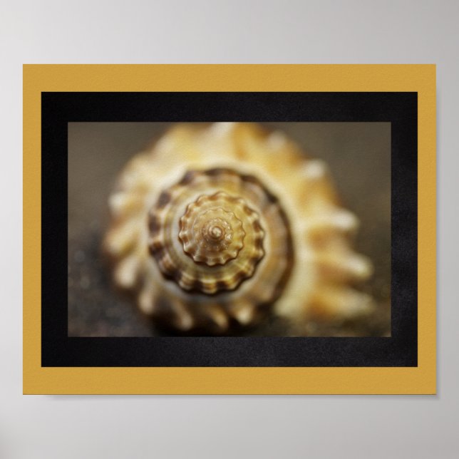 Black and Gold Seashell Tropical Printable Art  Poster (Front)