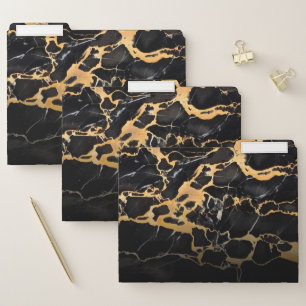 Black and Golden Marble File Folder