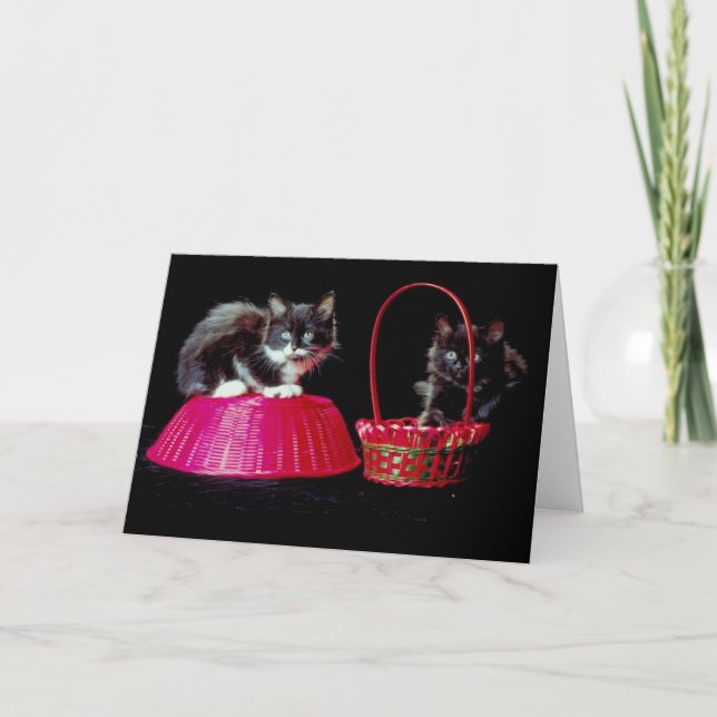 Black and Gray Cats on Pink Easter Baskets Holiday Card (Front)