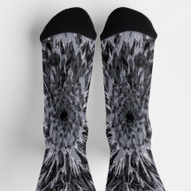 Black and Gray Dahlia Flower