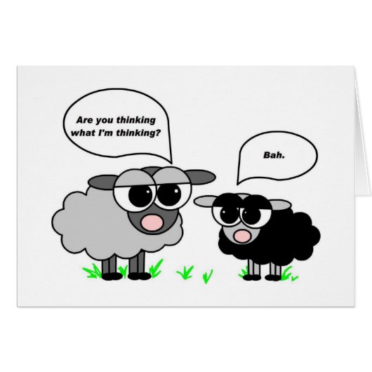 Black and Gray Sheep. Are you thinking what I'm... (Front Horizontal)