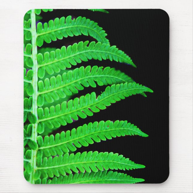 Black and Green Fern Mouse Pad (Front)