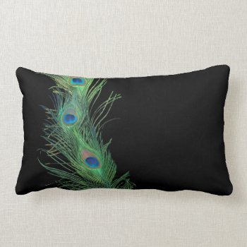 Black And Green Peacock Feathers Lumbar Pillow by Peacocks at Zazzle