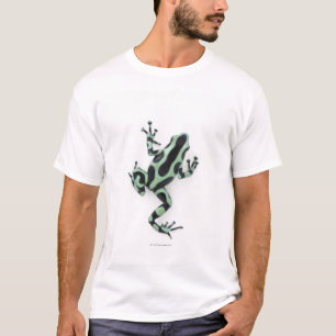Black and Green Poison Dart Frog 2 T-Shirt