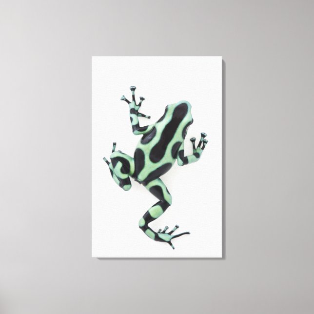 Black and Green Poison Dart Frog Canvas Print (Front)