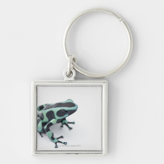 black and green poison dart frog (dendrobates keychain (Front)