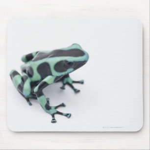 black and green poison dart frog (dendrobates mouse pad