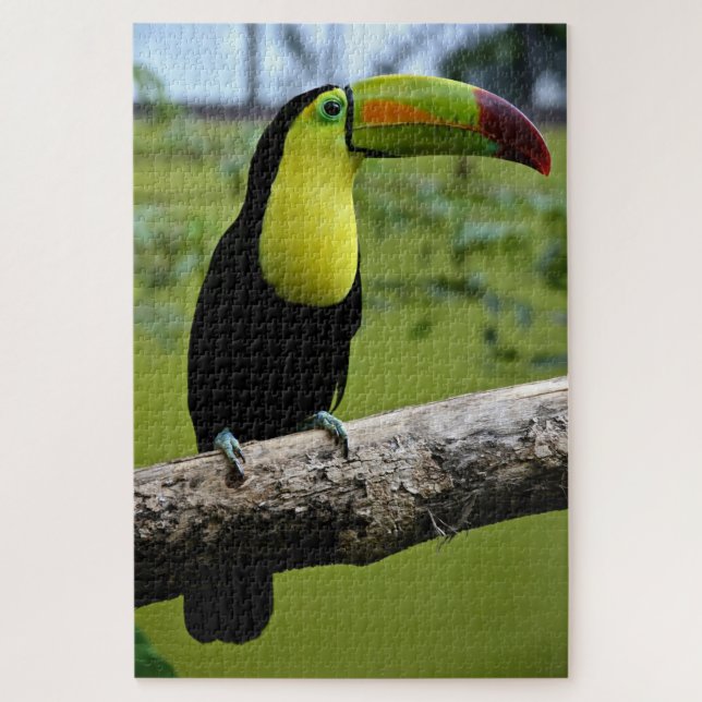 Black and Green Toucan on Tree Branch Jigsaw Puzzle (Vertical)