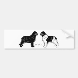 Black and Landseer Newfoundland Dogs Bumper Sticker