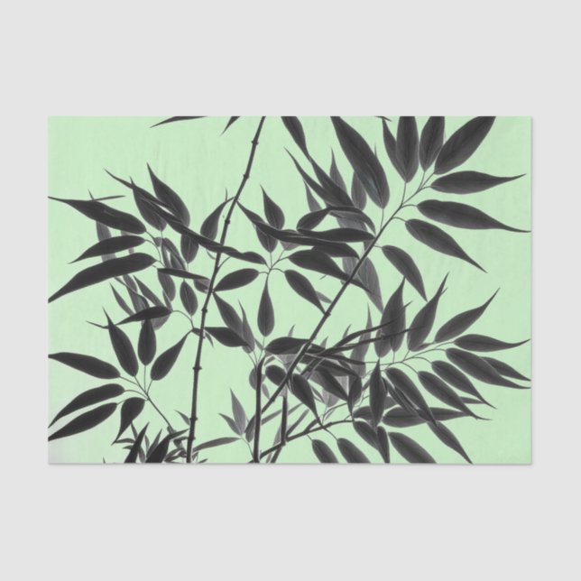 Black and Mint Green Bamboo Plant Tissue Paper (Front)