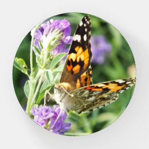Black and Orange Butterfly on Lilac Flower Paperweight