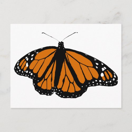 Black and Orange Monarch Butterfly Postcard