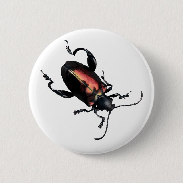 Black and Red Beetle bug Pinback Button (Front)