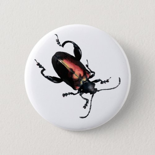 Black and Red Beetle bug Pinback Button