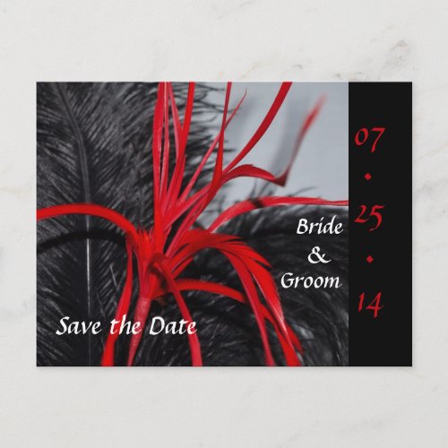 Black and Red Feather Save the Date Postcards