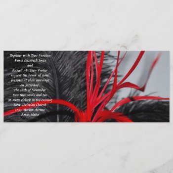 Black And Red Feather Wedding Invitations by ChristyWyoming at Zazzle