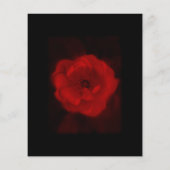 Black and Red Rose. (Back)
