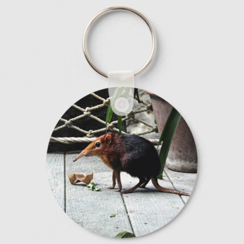 Black and Rufous Elephant Shrew Keychain