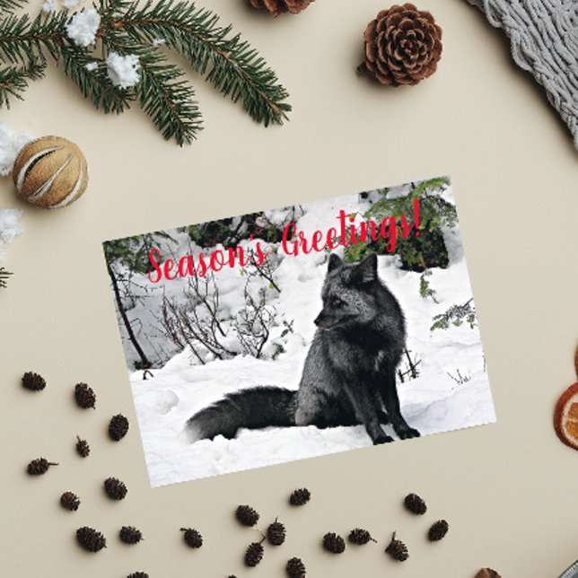 Black and Silver Fox in Snow Holiday Card (In Situ)