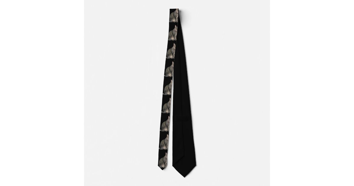 Black and Tabby Cat Tie | Zazzle