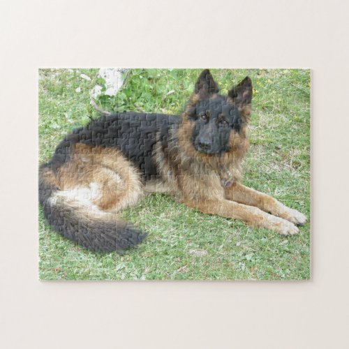 Black and Tan Alsatian Jigsaw Puzzle