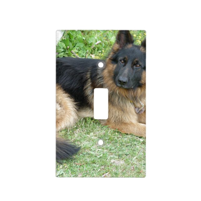 Black and Tan Alsatian Light Switch Cover (Front)