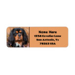 Black and Tan Cavalier King Charles Return Address Label
