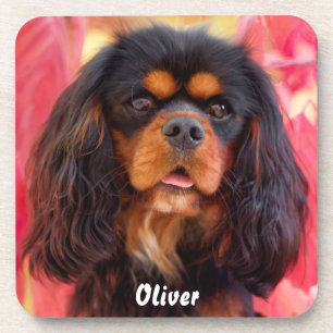 Black and Tan Cavalier King Charles Spaniel Dog Beverage Coaster