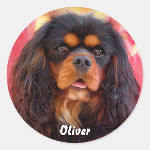 Black and Tan Cavalier King Charles Spaniel Dog Classic Round Sticker