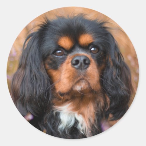 Black and Tan Cavalier King Charles Spaniel Dog Classic Round Sticker