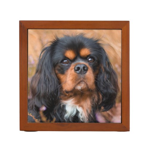 Black and Tan Cavalier King Charles Spaniel Dog Desk Organizer