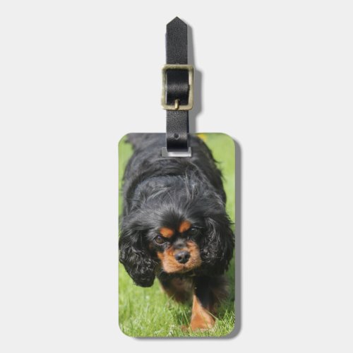 Black and Tan Cavalier King Charles Spaniel Dog Luggage Tag