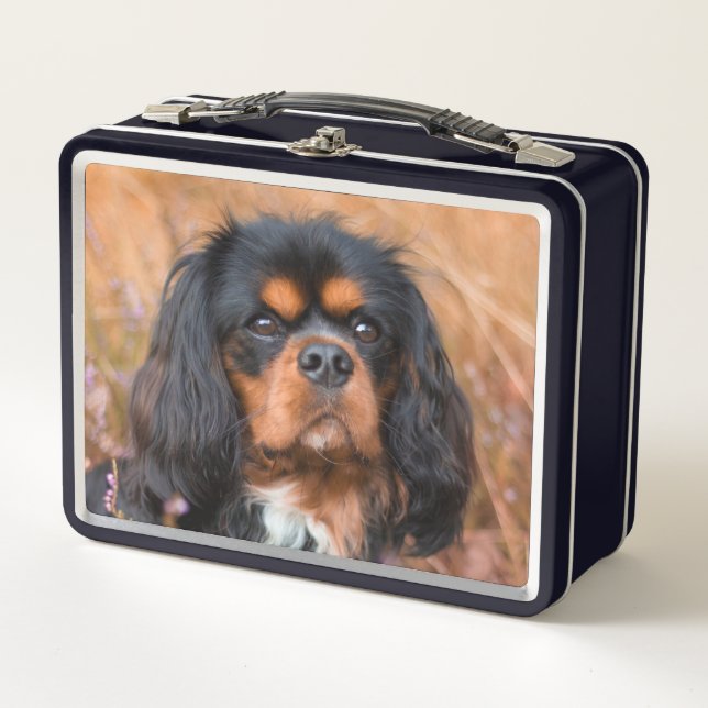 Black and Tan Cavalier King Charles Spaniel Dog Metal Lunch Box (Front)