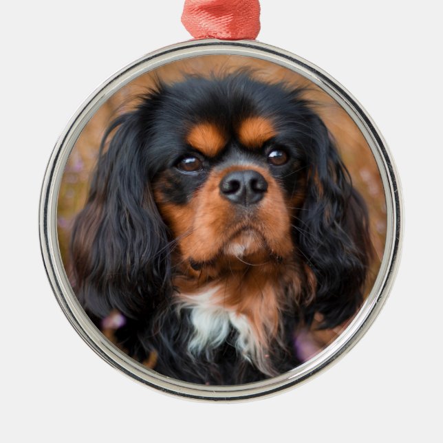 Black and Tan Cavalier King Charles Spaniel Dog Metal Ornament (Front)