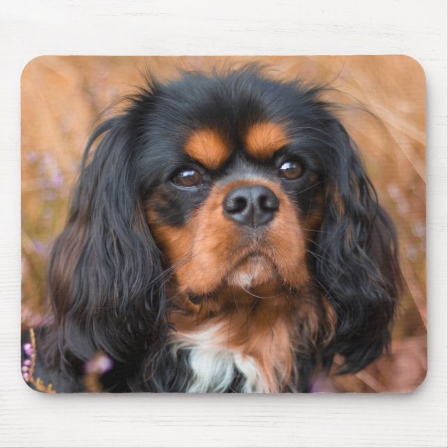 Black and Tan Cavalier King Charles Spaniel Dog Mouse Pad (Front)