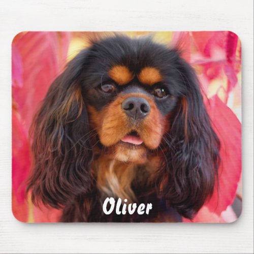 Black and Tan Cavalier King Charles Spaniel Dog Mouse Pad