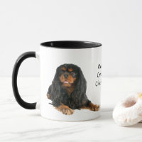 Black and Tan Cavalier King Charles Spaniel Dog