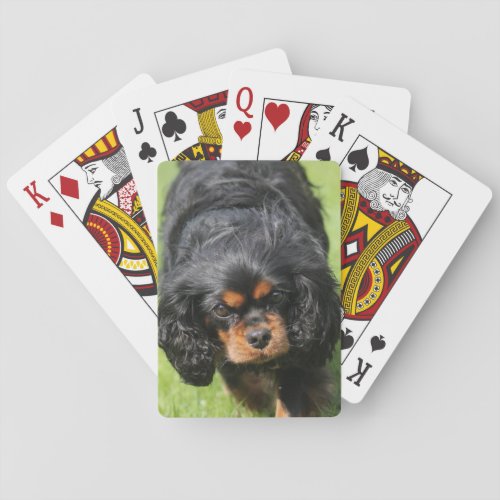 Black and Tan Cavalier King Charles Spaniel Dog Poker Cards