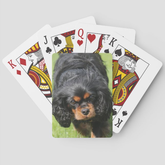 Black and Tan Cavalier King Charles Spaniel Dog Poker Cards (Back)
