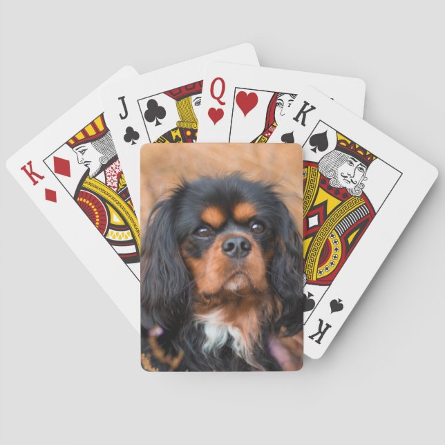 Black and Tan Cavalier King Charles Spaniel Dog Poker Cards (Back)