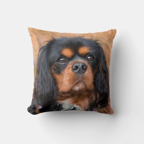 Black and Tan Cavalier King Charles Spaniel Dog Throw Pillow