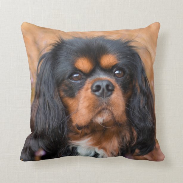 black and tan cavalier king charles spaniel stuffed animal