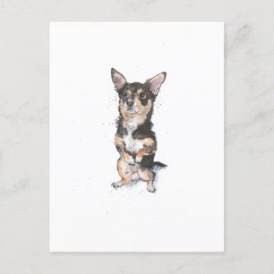 Black and Tan Chihuahua Cute funny dog Postcard