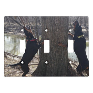 Black and tan coon hounds treeing light switch