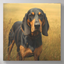 Black and Tan Coonhound