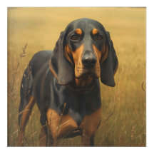 Black and Tan Coonhound