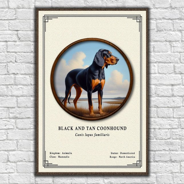 Black and Tan Coonhound Zoology Series Poster (Creator Uploaded)