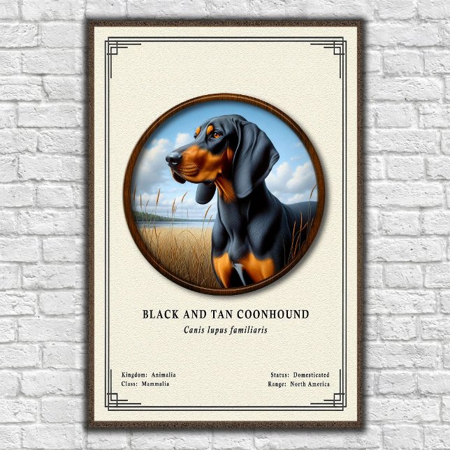 Black and Tan Coonhound Zoology Series Poster (Creator Uploaded)